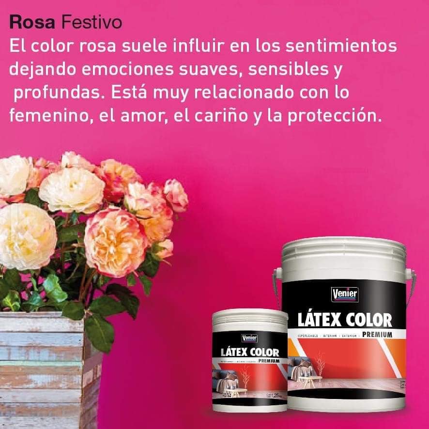 95382013_4047165115324270_6230842449401479168_n