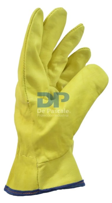 Captura de pantalla 2025-06-30 183549